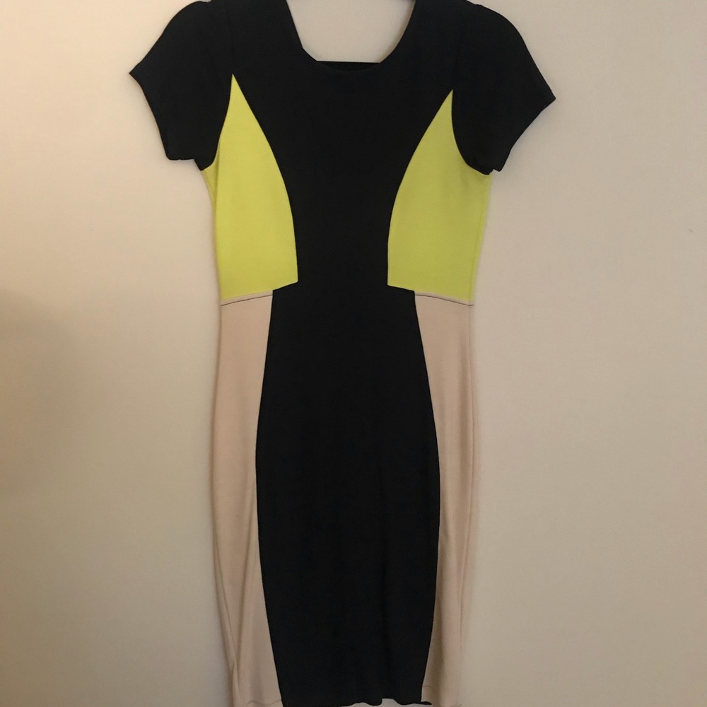 French Connection colorblock body-con dress